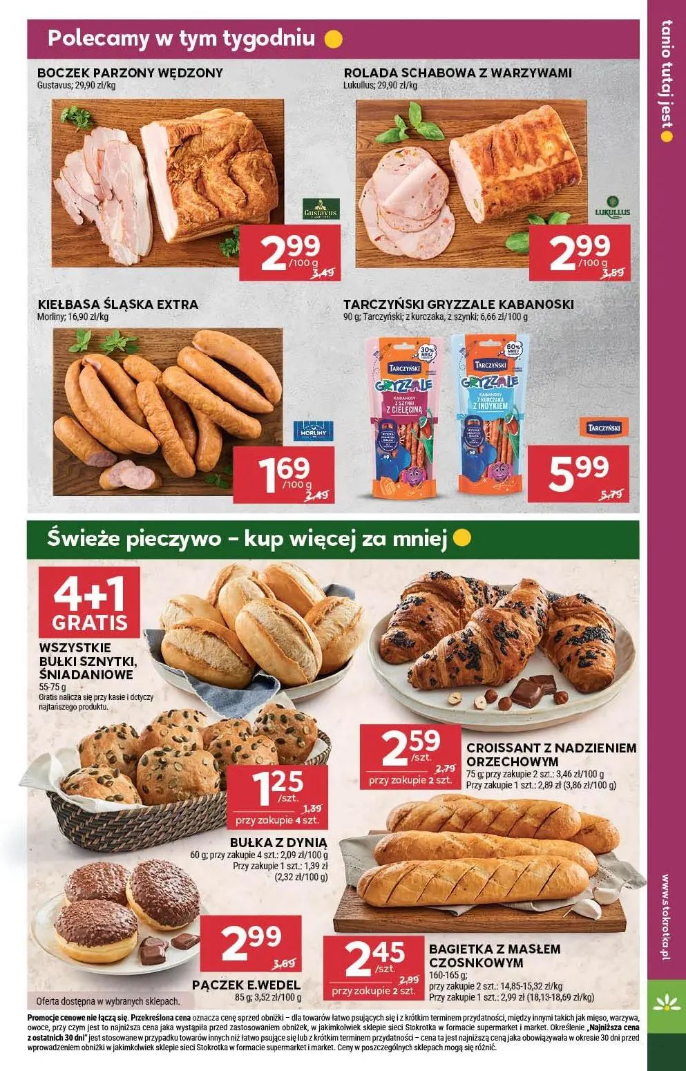 stokrotka gazetka
