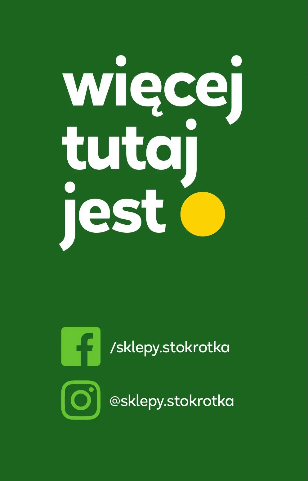 stokrotka gazetka