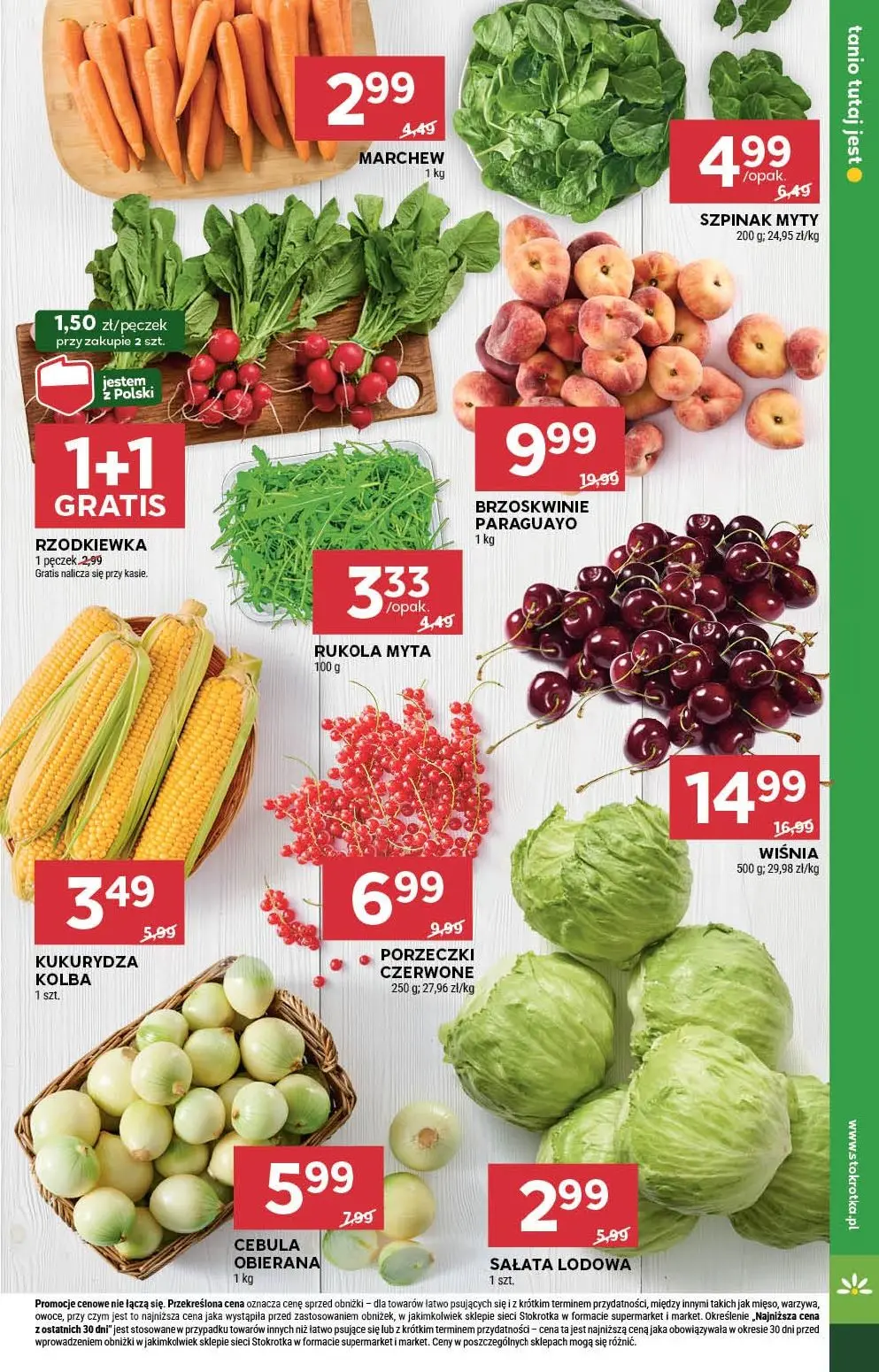 stokrotka gazetka